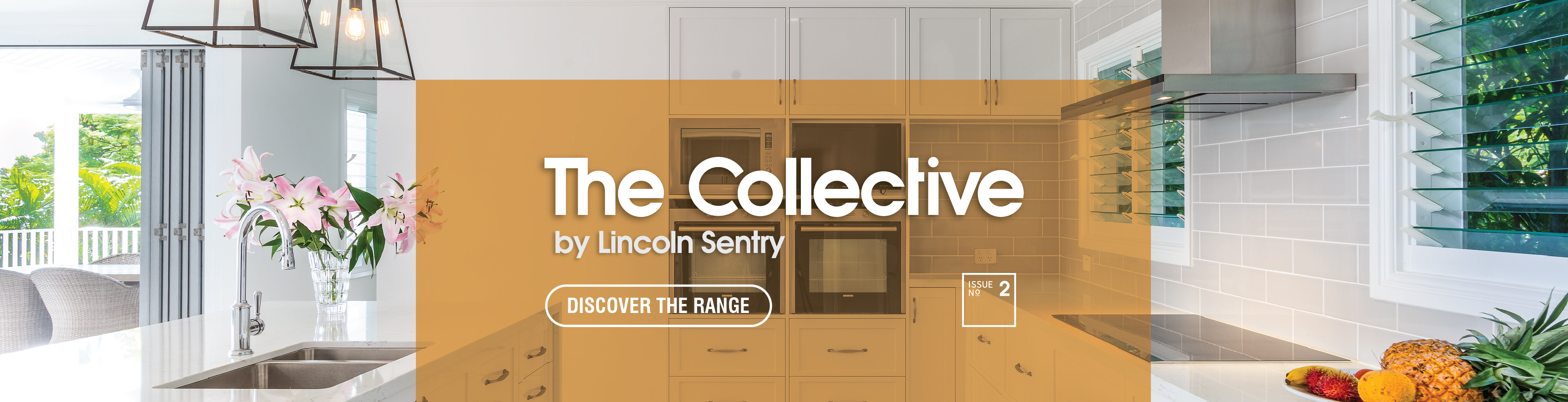The Collective - March 2023 - web banner.jpg